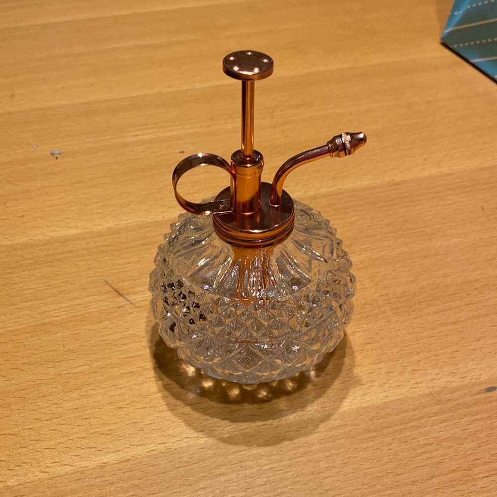Glass plant mister